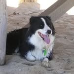 Scott Savory - @savtrans - Instagram
