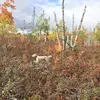 scottsayler371 - @scottsayler371 - TikTok