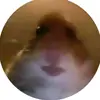 Scott saylor - @scottsaylor0 - TikTok