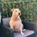 Scott Scanlan - Facebook