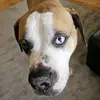 ScottCSandlin - @scottcsandlin - TikTok