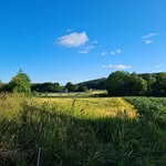 Scott Schade - @naturecloseby - Instagram