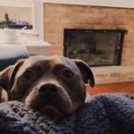Scott Schechter - @_thisisscottie - Instagram
