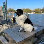 Scott Schering - @scott_schering - Instagram