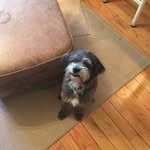 Scott.scherrer55 - @scott.scherrerr55 - Instagram