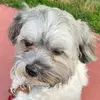 user2464050214936 - @scottschill345 - TikTok