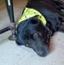 Scott Schmacker - Facebook