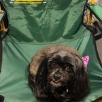 Scott Schmitt - @schmitt8548 - Instagram