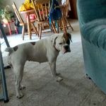 Scott Schmitt - @scott.schmitt.1257 - Instagram