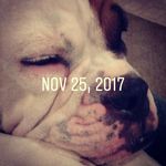 Scott Schmitt - @saschmitt82 - Instagram