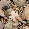 Scott Schmitt - @scott.schmitt4 - TikTok