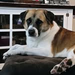 Scott Schutte - @schuter14 - Instagram
