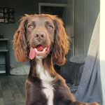 Scott Scullion - @scott_scullion - Instagram