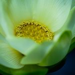 Scott Seay - @jscottseay - Instagram