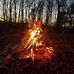 Scotty Seay - Facebook