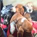 Scott Secord - Facebook