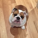 Scott Secord - @scottsecord - Instagram