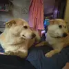 scottseiber - @scott.seiber - TikTok
