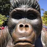N.Scott Seibel - @n.scottseibel - Instagram