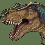 Scott Seibel - @seibelstudio - Instagram