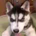 Scott Seiber - Facebook