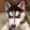 scottseiber797 - @scottseiber797 - TikTok