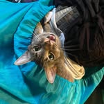 Scott Self - @sselfjr - Instagram
