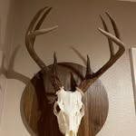 Scott Self - @central_fl_feed - Instagram