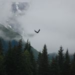 Scott Selle - @scott48145 - Instagram