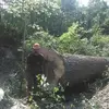 Scott Semones - @scott.semones - TikTok