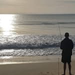 Scott Semple - @semps0080 - Instagram