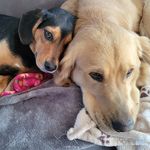 Scott Sennett - @sennett.scott - Instagram