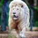 Scott Senft - Facebook