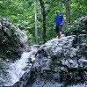 Scott Sennett - @scott_n_dog - Instagram