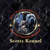 @Scottskennel - @scottskennel - TikTok