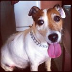 Scott Serafin - @serafin.scott - Instagram