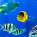 Scott Serr - Facebook