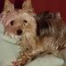 Scott Serschen - Facebook