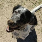Scott🤎 - @scott_thesetter - Instagram