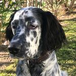 Scott Setter - @setterscott - Instagram