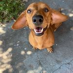 @scott_severino - Instagram