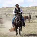 Scott Sewell - @scott.sewell.585 - Instagram