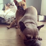 Scott Sewell - @scottsewll1981 - Instagram