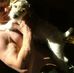 Scott Seyferth - Facebook
