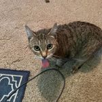 Scott Shappell - @scottshappell - Instagram