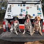 Scott Sharer - @sharerscott - Instagram