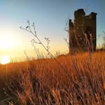 Scott Sharkey - @scottsharkey5 - Instagram