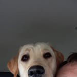 Scott Sharkey - @wscottsharkey - Instagram