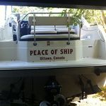 Scott Sharkey - @w.s.sharkey - Instagram