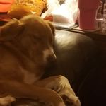 Scott Shaub - @shaubscott - Instagram